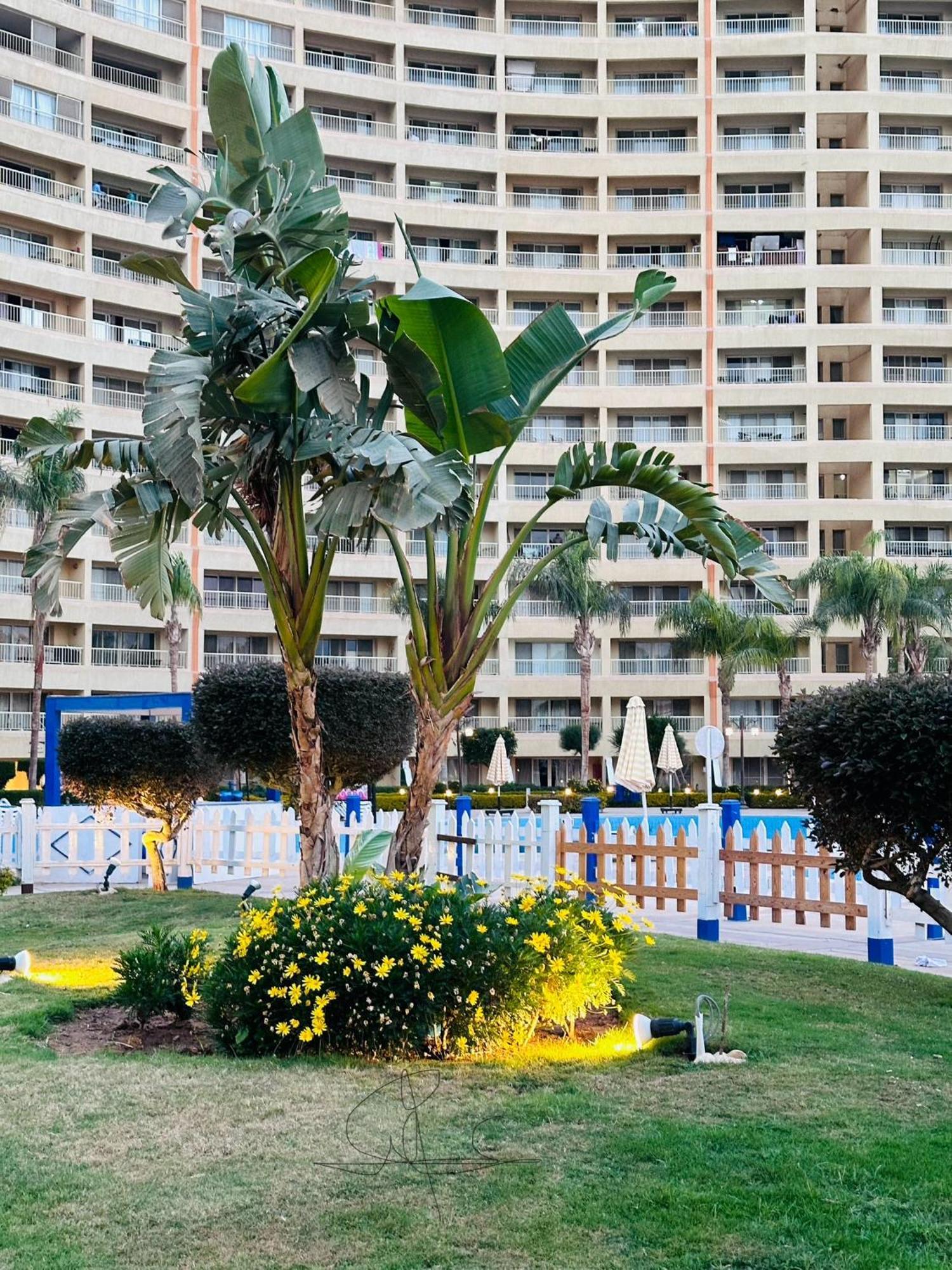 Chalet In Porto Sokhna Beach Resort Айн Сохна Екстериор снимка